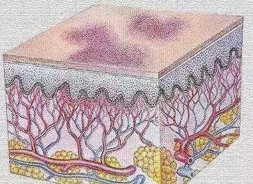 為什麼你的身上會無緣無故出現淤青?這4種情況最要命,一定注意