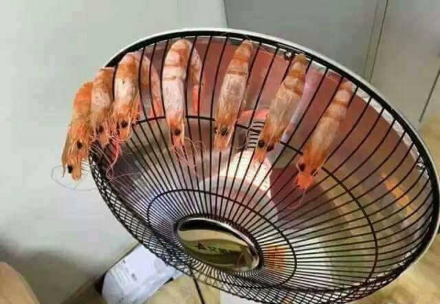 晚上怕冷,又想吃宵夜怎麼辦?網友自創「天冷烤蝦法」,讓網友們笑翻了:「這是哪一招啊?」