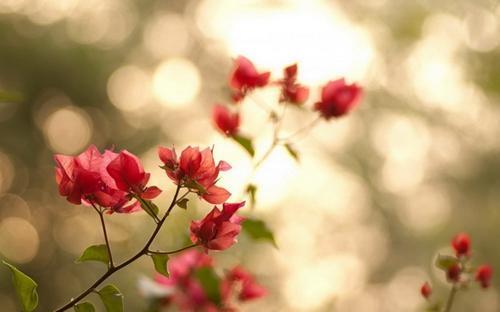 婆婆對外婆特別不好，卻有臉要求我必須要有良心要孝敬她