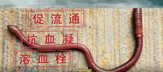 腿腳發涼、發麻？嚴重者可截肢！提醒身邊人警惕這種疾病！