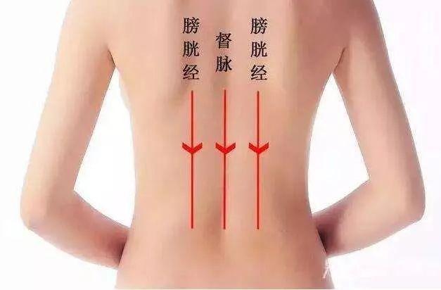 這條經絡是身體上最大的「排毒」通道，經常拍一拍，增強抵抗力！