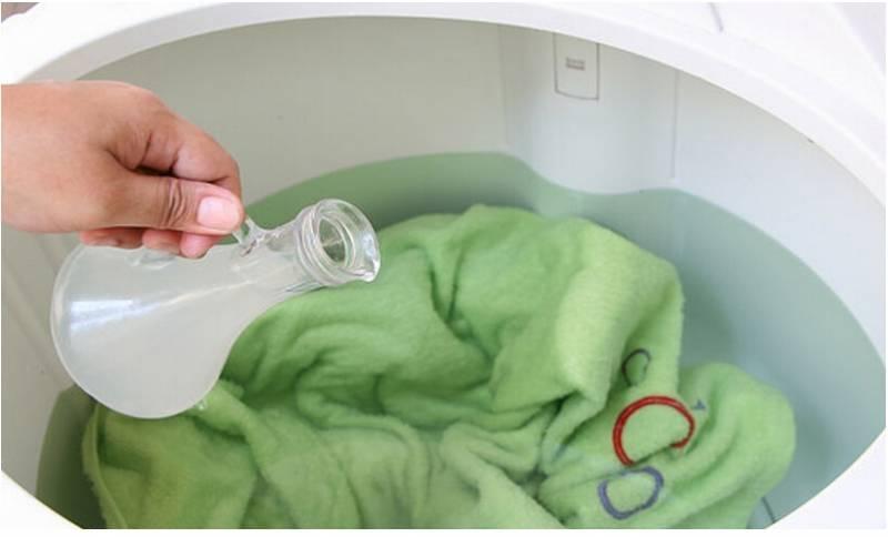 衣服、棉被發黴不用丟！簡單幾招教你去除黴菌！太有效了，快來試試