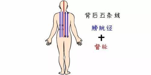 腹為陰,背為陽!按摩這4個地方,讓你陰陽平衡,氣血通暢