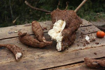 全身血液流動只需一個小動作，再也不怕血管堵！血脂血栓一掃而空