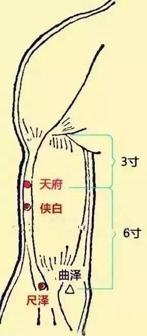 想要秋天少生病,一定要拍打此處11穴,大病小病它都管!