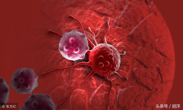 如果消滅不了體內的癌細胞，我們可以長期帶瘤生存，如何才能做到