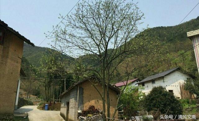 女兒死了五年,母親看見個和她長得很像的女孩,跑過去一看後悔了!