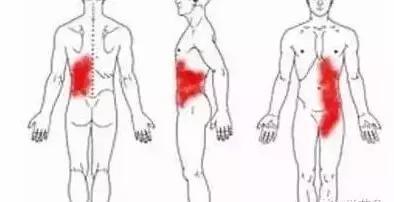 經絡不通，補什麼都沒有用！只用一招：經絡通暢百病消！