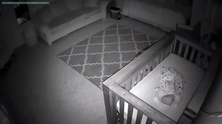 有孩子後狗狗要被送人，狗狗老是溜進孩子房間，主人一看監控哭了