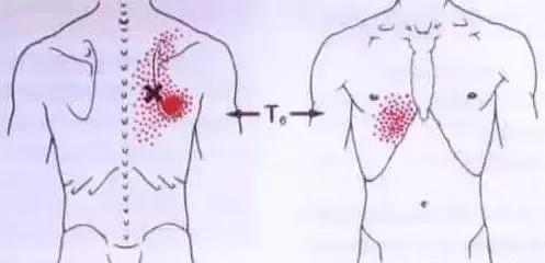 經絡不通，補什麼都沒有用！只用一招：經絡通暢百病消！