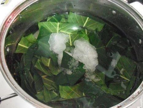 反復咳嗽，喉嚨有痰難入睡？一片葉子熬碗水，再不復發（秒轉）