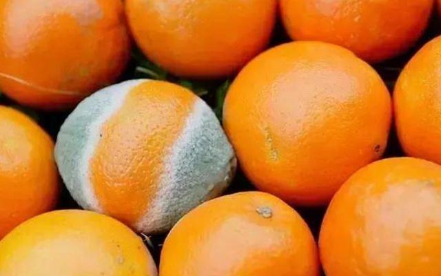 肝病多半是吃出來的，營養師：想肝髒健康，少吃4類食物