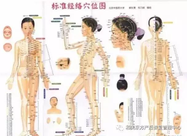 經絡不通，補什麼都沒有用！只用一招：經絡通暢百病消！