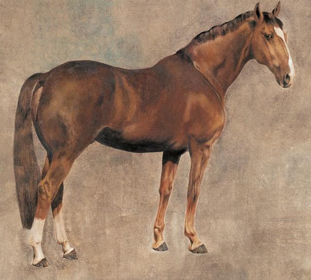 豬年被好運纏上的4屬相，鴻運來到，身價高漲，不缺錢花！