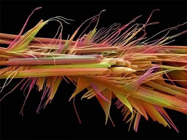 愛喝咖啡的注意看，這9個隱藏的「大秘密」，對女人的好處很厲害