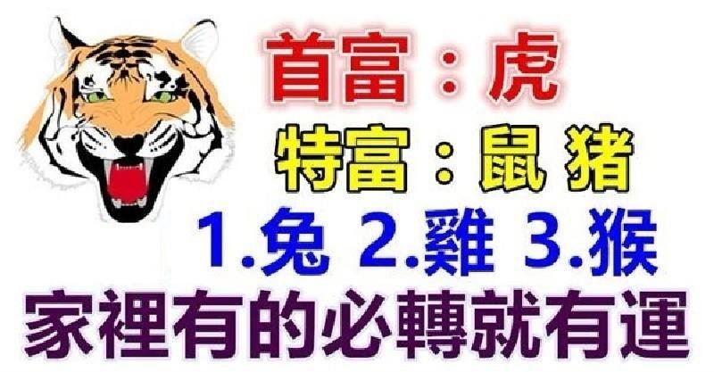 14432-4f8ef164fcc9477ea9c8089b2c40fced.jpg