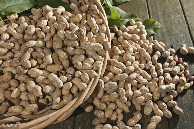 這種「致癌物」就在你家!發黴食物傷腎、致癌,去掉壞的還能吃?