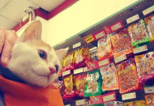 據說女人達到7級就不需要男人了，你達到多少級？