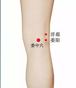 為什麼經絡不通，要先調膀胱經？（附經絡圖）