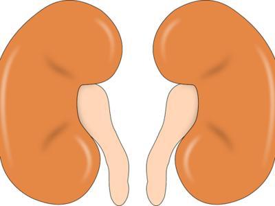 50歲夫妻吃這種菜一個月，腎部年輕了20歲，男女通用！