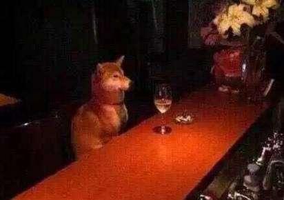 據說女人達到7級就不需要男人了，你達到多少級？