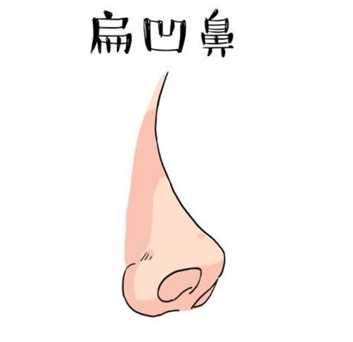三種鼻子一生【難富貴】，希望你沒有！