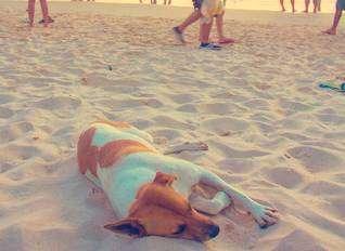 據說女人達到7級就不需要男人了，你達到多少級？