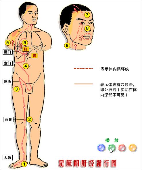她每天睡前揉大腿內側,兩周後,奇跡出現了……