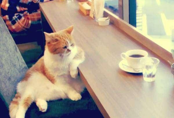 據說女人達到7級就不需要男人了，你達到多少級？