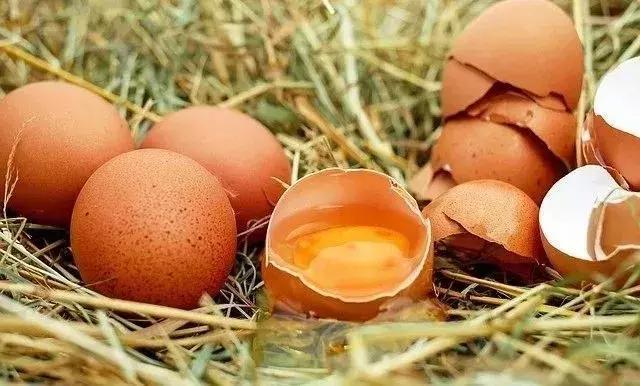 這種「致癌物」就在你家!發黴食物傷腎、致癌,去掉壞的還能吃?