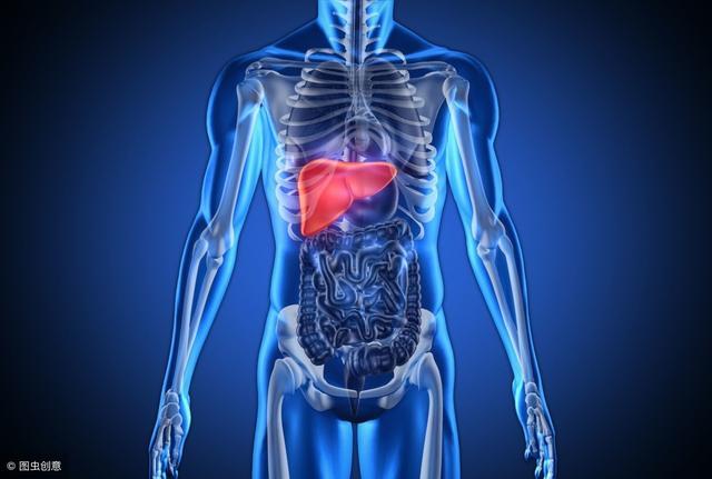 人體五髒有五怕：心怕累，肝怕堵，脾胃怕生冷