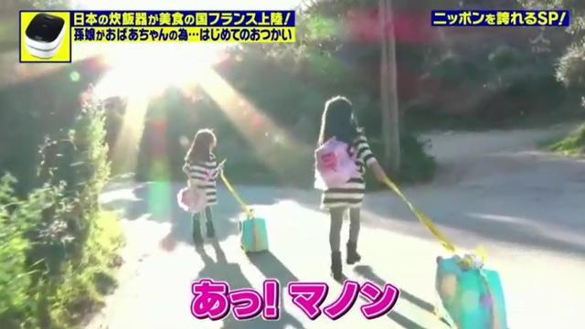 一對日法混血小天使回法國看望祖父母，憑藉一個電飯鍋讓他們和日本兒媳冰釋前嫌！