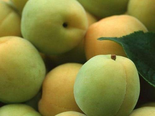 人怕癌,癌卻怕它,其實黑蒜能夠阻斷致癌物質亞硝胺的合成,起到防癌、抗癌的作用