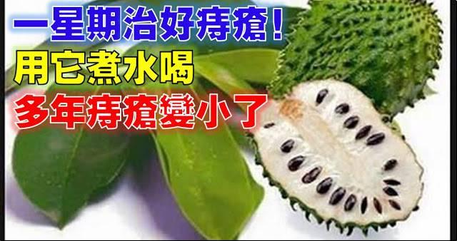 用它煮水喝，多年痔瘡竟然變小了！7 天治好痔瘡！