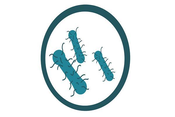 頭髮越洗越油、總是掉頭髮，是不是與洗頭的頻率有關係？