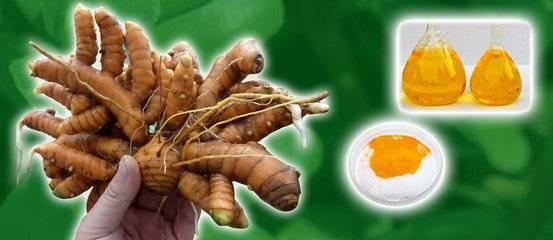薑黃的這5種吃法，輕鬆打擊癌細胞、高血糖、關節炎，立即打造易瘦體質！