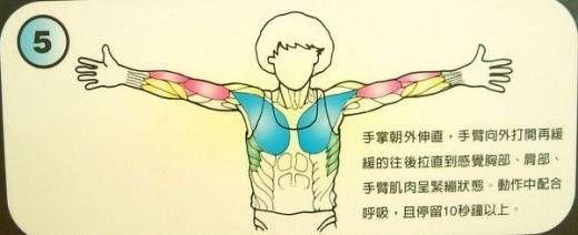 越活越年輕就要靠「拉筋」！超簡單「12個動作」讓你不再腰痠背痛，還能 ...