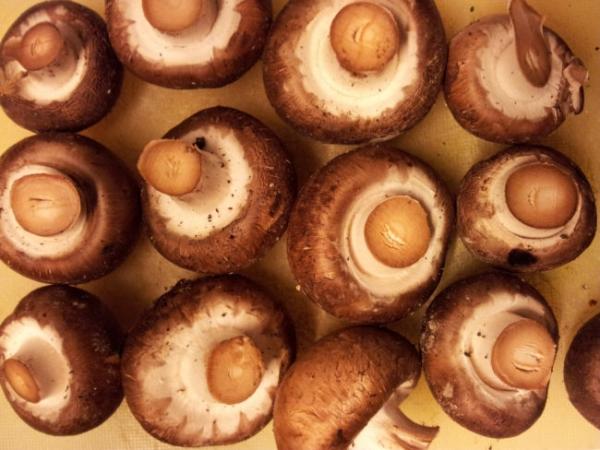 8個不想肚子痛的話「千萬不能放進微波爐重新加熱」的食物,#8米飯也不能!% 照片 8個不想肚子痛的話「千萬不能放進微波爐重新加熱」的食物,#8米飯也不能!