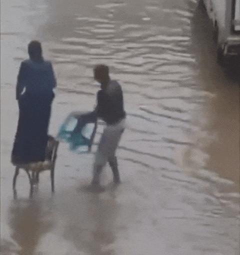 15665521226340.gif